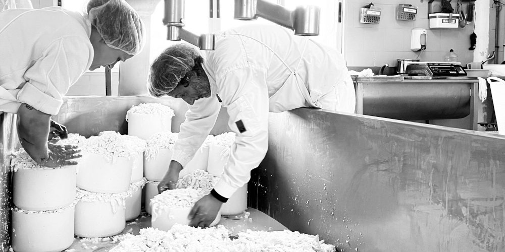 Maestros trabajando en la quesería tradicional en Galicia.